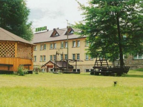 Отель Hotel Janina  Гмина Рытро